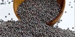 Organic Mustard Seeds