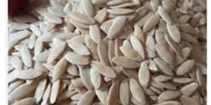 Cucumber Seed