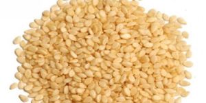 Sesame Seeds