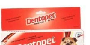 Dentopet Dental Paste 70 Gms