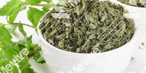 Dried Mint Leaves