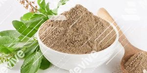 Dried Tulsi Leaves Powder