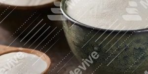 Spray Dried Custard Powder