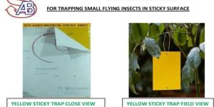 Yellow Sticky Trap