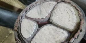 Polycab Armoured Cable