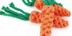 Carrot Cotton Dog Toy
