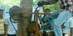 Coconut Tree Climber