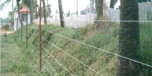 Galvanized Iron Chain Link Fencing