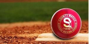 Leather Cricket Ball