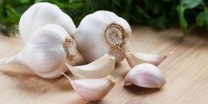 Organic Garlic