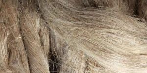 Sun Hemp Fiber
