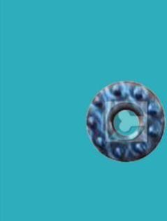 Titanium Spiked Washer