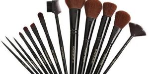 Cosmetic Brush Kit