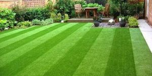 Artificial Grass