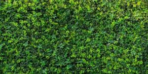 Artificial Green Grass Wall