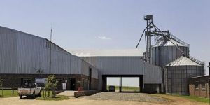 Maize Cattle Feed Plant