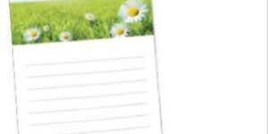 Magnet Printing Services