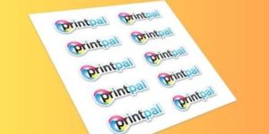 Vinyl Sticker Printing Services