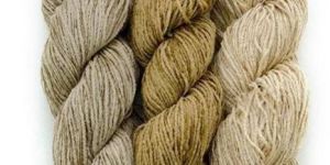 Organic Cotton Yarn