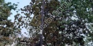 Mild Steel Mobile Lighting Tower