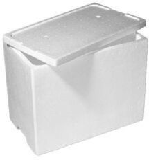 Thermocol Ice Box