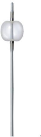 Stone Extraction Balloon