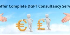 Dgft Consultants