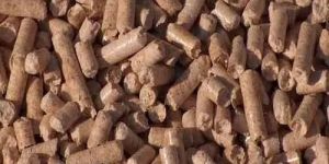 Biomass Pellets