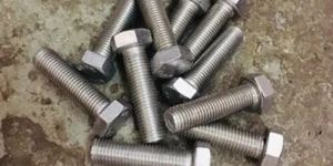 Stainless Steel Hex Bolt