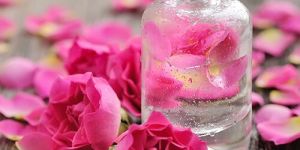 Rose Flavor
