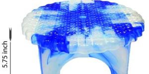 Bahubali Patla (D/C)