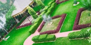 Podium Garden Maintenance Services