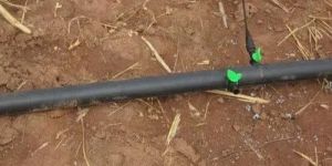 Drip Irrigation Pipe