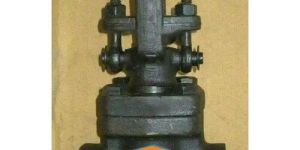 Forged Steel Globe Valve