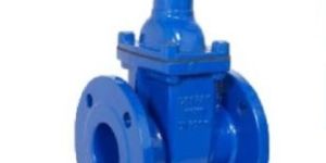 D.I. Resilient Seated Gate Valve