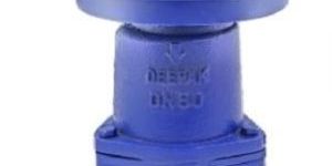 Flanged Foot Valve