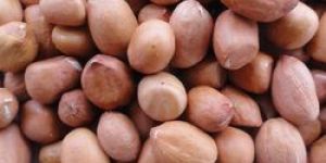 Groundnuts