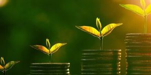 Loan Service Providers