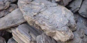 Lignite Coal