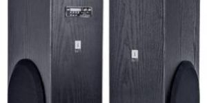 Karaoke Tower Speakers