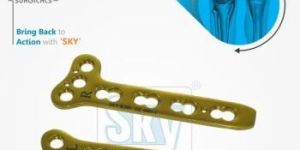 Titanium Bone Locking Plates