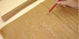 Seed Germination Paper