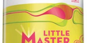 Nerolac Enamel Paint