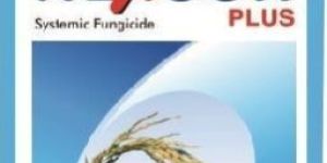 Hexaconazole 5% SC / 5 % EC / 2 % SC