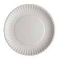 Disposable Paper Plate