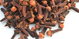Clove