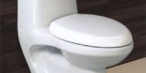 Stella Floor Mounted Water Closet