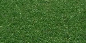 Artificial Grass