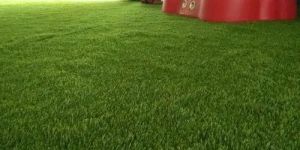 Artificial Green Grass