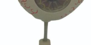 Human Eye Model